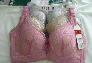 批發(fā)優(yōu)質(zhì)品牌文胸，舒適柔軟，廠家直供，價格實惠，圖片實拍